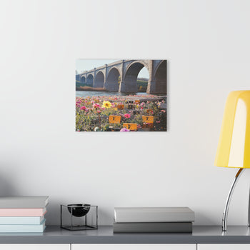 Acrylic Prints (French Cleat Hanging)